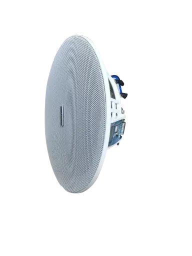 [DS-QAE0606G2-V] Hikvision DS-QAE0606G2-V Analog Frameless Ceiling Speaker 6W Volt